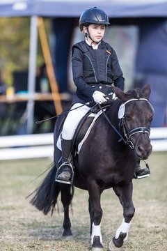 Bild 170 - Pony Akademie Turnier